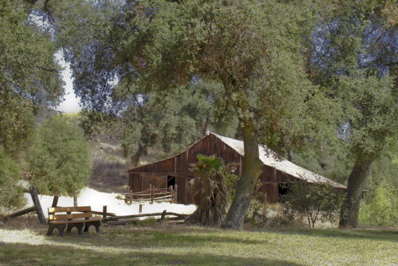 Daley Ranch - Daley Ranch ©2010 Martin Oretsky